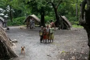 The benefits of Tamanu Oil